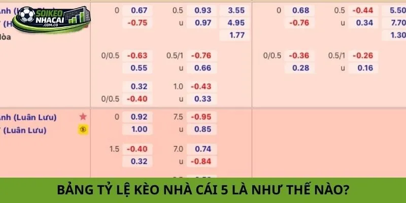 Bảng tỷ lệ kèo nhà cái 5 là như thế nào?