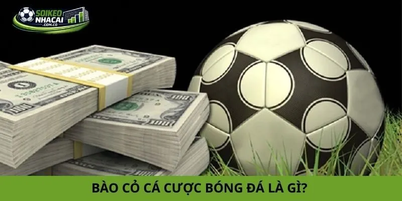 Cách bào cỏ cá cược bóng đá