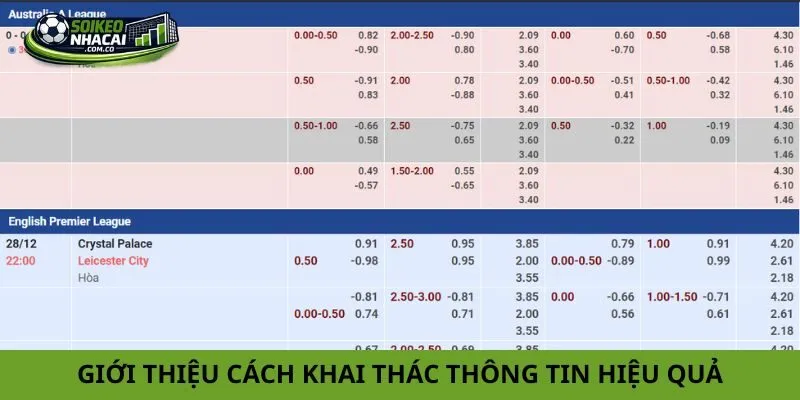 Giới thiệu hướng dẫn cách khai thác thông tin hiệu quả