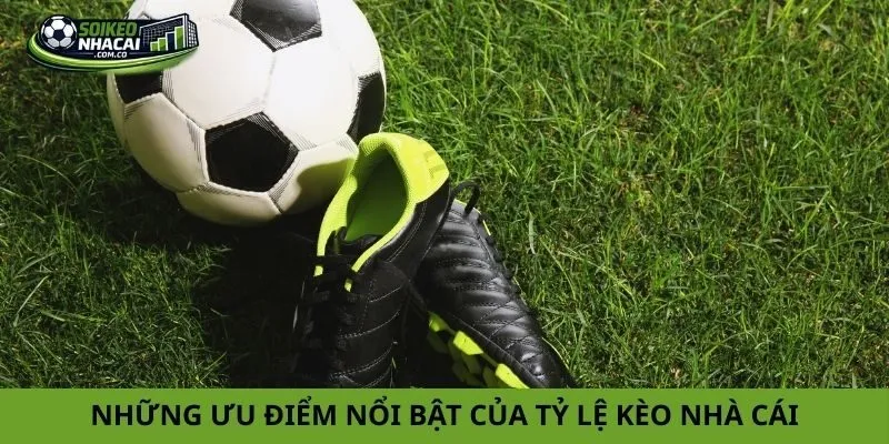 Những ưu điểm nổi bật của tỷ lệ kèo nhà cái