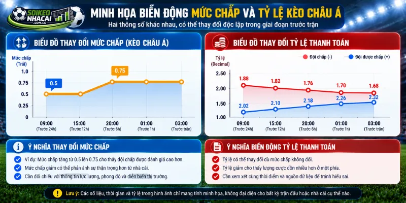 Phân tích kèo châu Á cần phân biệt sự thay đổi mức chấp với biến động tỷ lệ thanh toán trước trận